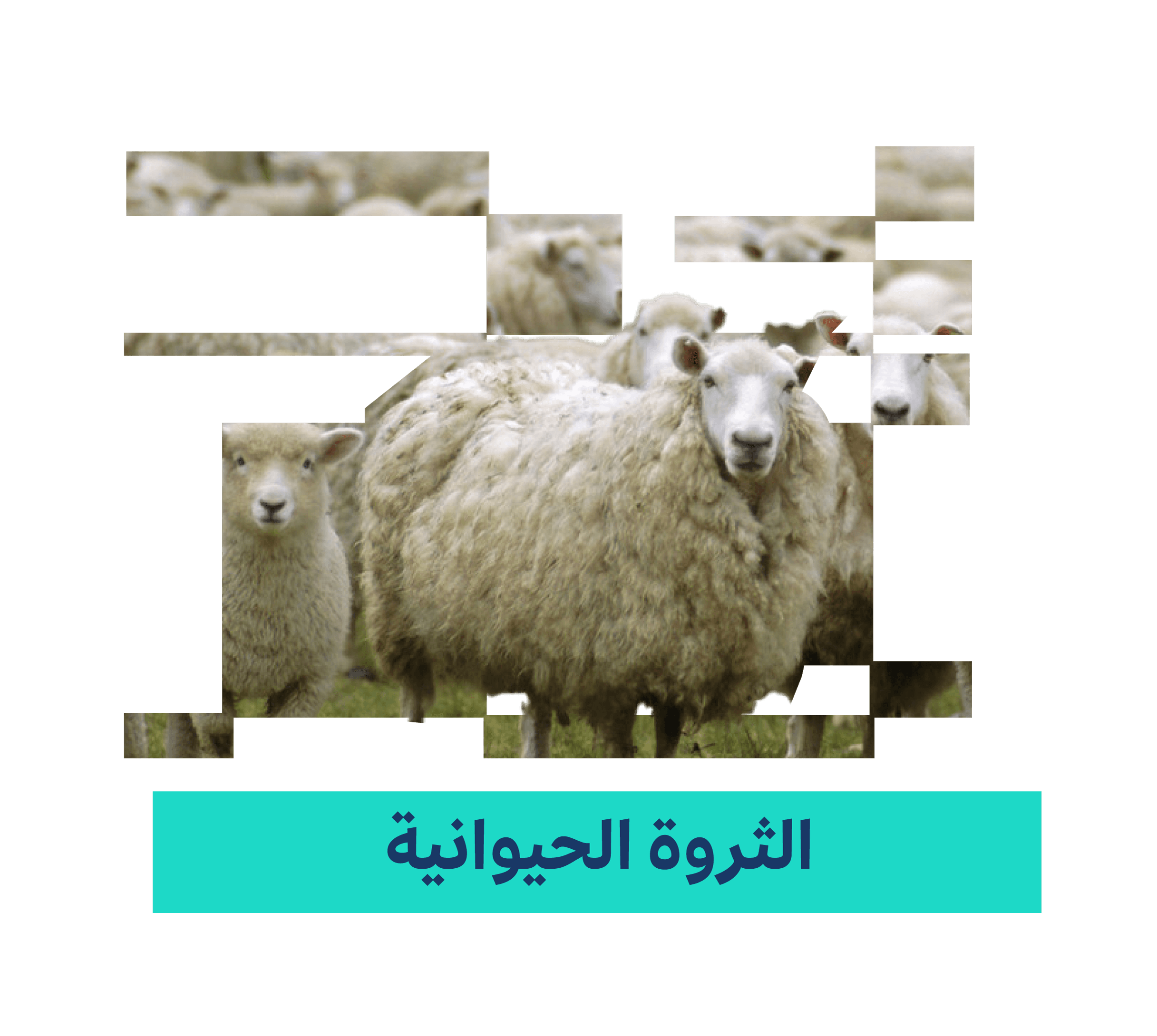 التعدين